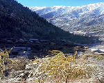 Taliban Storm Nuristan’s Want Waigal District